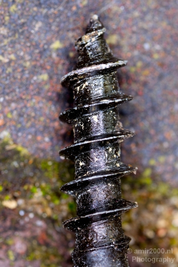 Part_of_a_screw_macro_Photography_002_Canon_EOS_5D_Mark_IV.JPG
