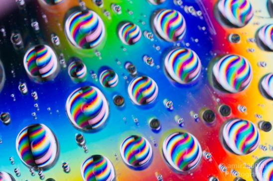 Rain_drops_on_a_disc_macro_Photography_002_Canon_EOS_5D_Mark_IV.JPG