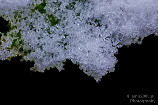 Snow_and_ice_nature_macro_winter_Photography_001_Canon_EOS_5D_Mark_IV.JPG