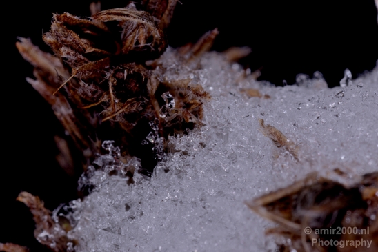Snow_and_ice_nature_macro_winter_Photography_015_Canon_EOS_5D_Mark_IV.JPG