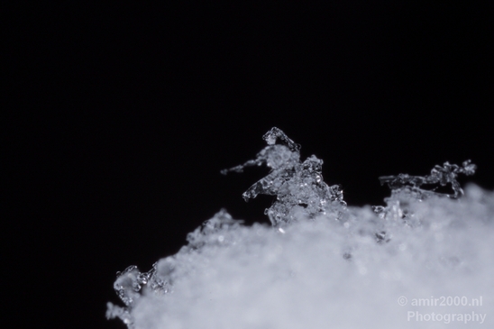 Snow_and_ice_nature_macro_winter_Photography_017_Canon_EOS_5D_Mark_IV.JPG