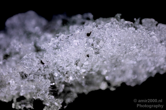 Snow_and_ice_nature_macro_winter_Photography_023_Canon_EOS_5D_Mark_IV.JPG