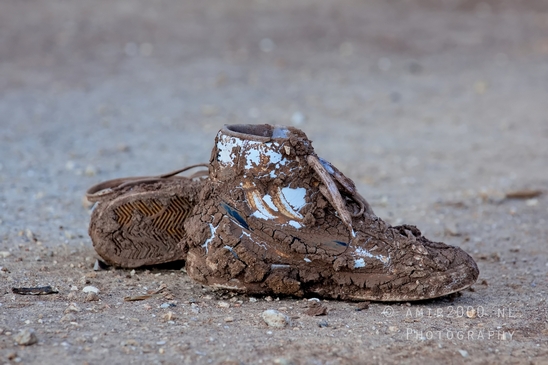Abandoned_shoes_covered_in_mud_around_the_field_Miscellaneous_Photography_002_Canon_EOS_5D_Mark_IV.JPG