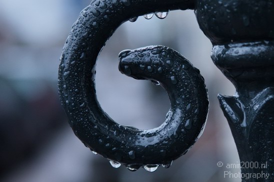Amsterdam_under_Rain_Netherlands_Miscellaneous_Photography_001_Canon_EOS_5D_Mark_IV.JPG