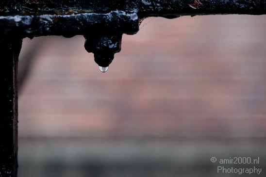 Amsterdam_under_Rain_Netherlands_Miscellaneous_Photography_003_Canon_EOS_5D_Mark_IV.JPG