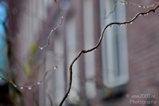 Amsterdam_under_Rain_Netherlands_Miscellaneous_Photography_004_Canon_EOS_5D_Mark_IV.JPG