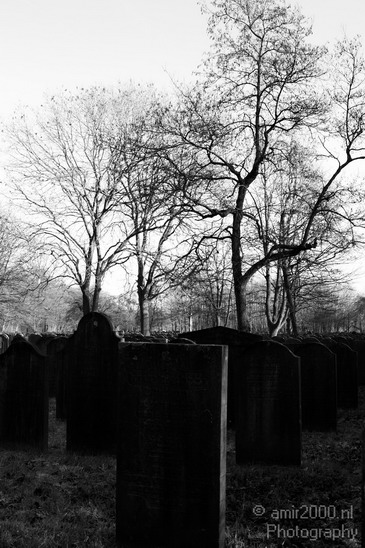 Begraafplaats_Diemen_Miscellaneous_Photography_002_Canon_EOS_7D.JPG