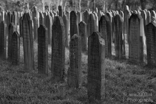 Begraafplaats_Diemen_Miscellaneous_Photography_003_Canon_EOS_7D.JPG