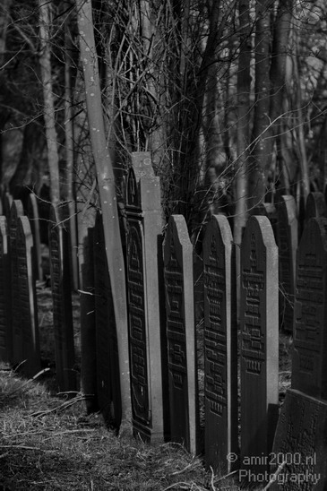 Begraafplaats_Diemen_Miscellaneous_Photography_004_Canon_EOS_7D.JPG