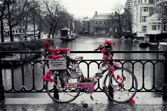 Bicycle_city_of_bikes_Amsterdam_Netherlands_Miscellaneous_Photography_004_Canon_EOS_5D_Mark_IV.JPG