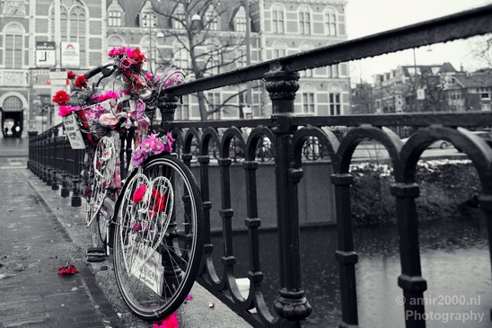 Bicycle_city_of_bikes_Amsterdam_Netherlands_Miscellaneous_Photography_006_Canon_EOS_5D_Mark_IV.JPG
