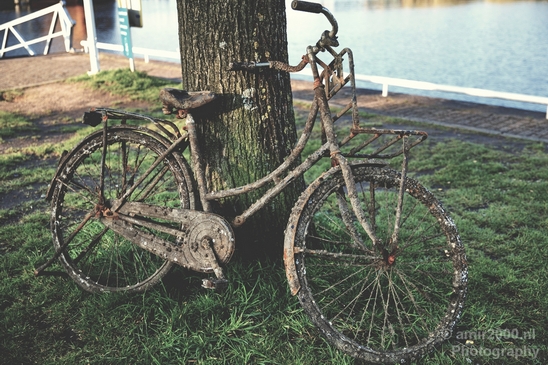 Bicycle_city_of_bikes_Amsterdam_Netherlands_Miscellaneous_Photography_015_Canon_EOS_5D_Mark_IV.JPG