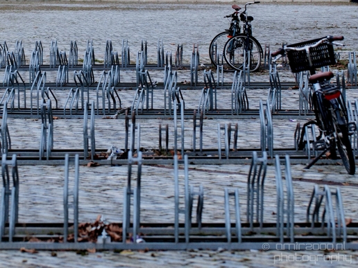Bicycle_city_of_bikes_Amsterdam_Netherlands_Miscellaneous_Photography_023_Canon_EOS_5D_Mark_IV.JPG