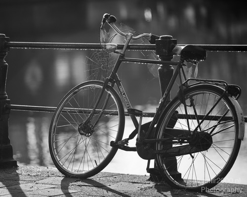 Bicycle_city_of_bikes_Amsterdam_Netherlands_Miscellaneous_Photography_024_Canon_EOS_5D_Mark_IV.JPG
