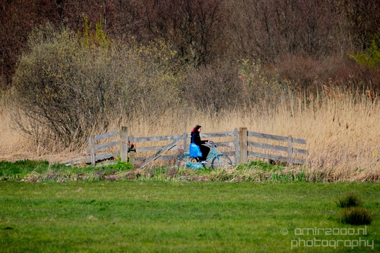 Bicycle_city_of_bikes_Amsterdam_Netherlands_Miscellaneous_Photography_025_Canon_EOS_5D_Mark_IV.JPG