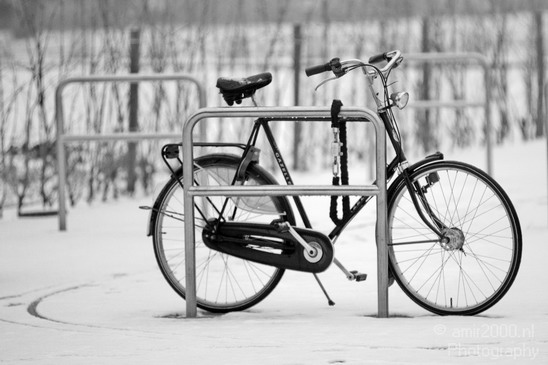 Bicycle_city_of_bikes_Amsterdam_Netherlands_Miscellaneous_Photography_038_Canon_EOS_5D_Mark_IV.JPG