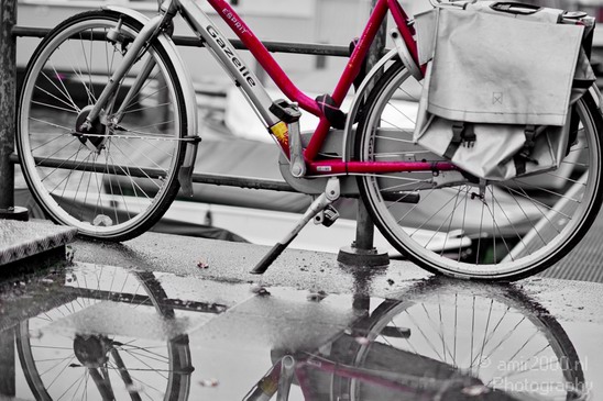 Bicycle_city_of_bikes_Amsterdam_Netherlands_Miscellaneous_Photography_040_Canon_EOS_5D_Mark_IV.JPG