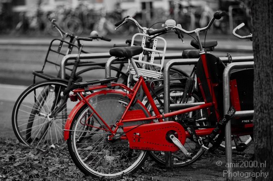 Bicycle_city_of_bikes_Amsterdam_Netherlands_Miscellaneous_Photography_041_Canon_EOS_5D_Mark_IV.JPG