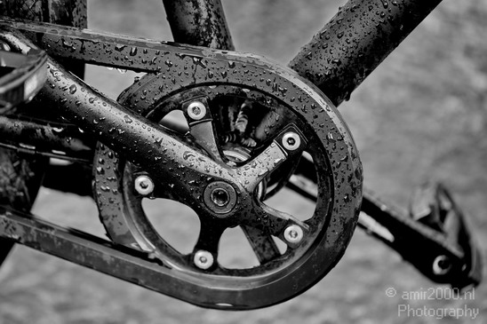 Bicycle_city_of_bikes_Amsterdam_Netherlands_Miscellaneous_Photography_048_Canon_EOS_5D_Mark_IV.JPG