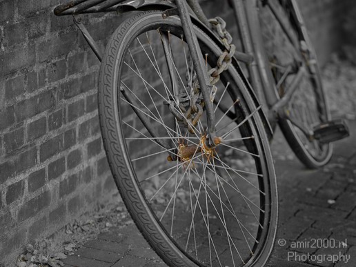 Bicycle_city_of_bikes_Amsterdam_Netherlands_Miscellaneous_Photography_063_Canon_EOS_5D_Mark_IV.JPG