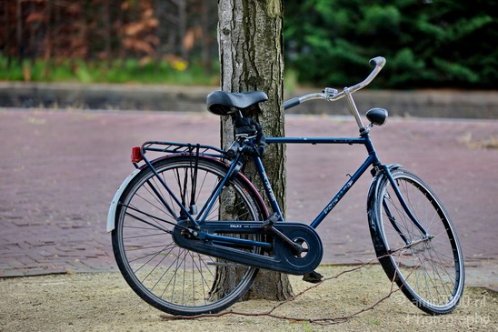 Bicycle_city_of_bikes_Amsterdam_Netherlands_Miscellaneous_Photography_079_Canon_EOS_5D_Mark_IV.JPG