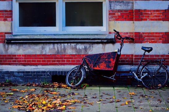 Bicycle_city_of_bikes_Amsterdam_Netherlands_Miscellaneous_Photography_083_Canon_EOS_5D_Mark_IV.JPG