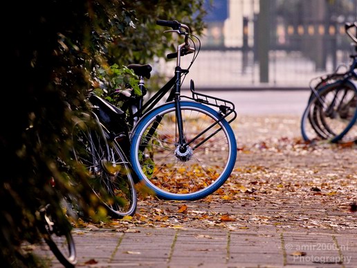 Bicycle_city_of_bikes_Amsterdam_Netherlands_Miscellaneous_Photography_086_Canon_EOS_5D_Mark_IV.JPG