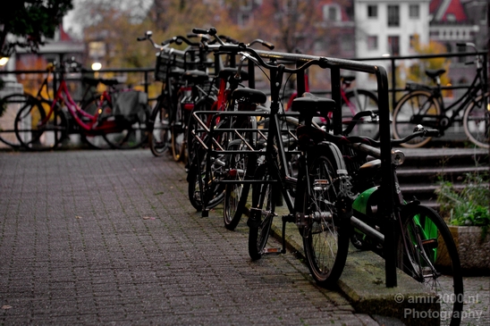 Bicycle_city_of_bikes_Amsterdam_Netherlands_Miscellaneous_Photography_099_Canon_EOS_5D_Mark_IV.JPG