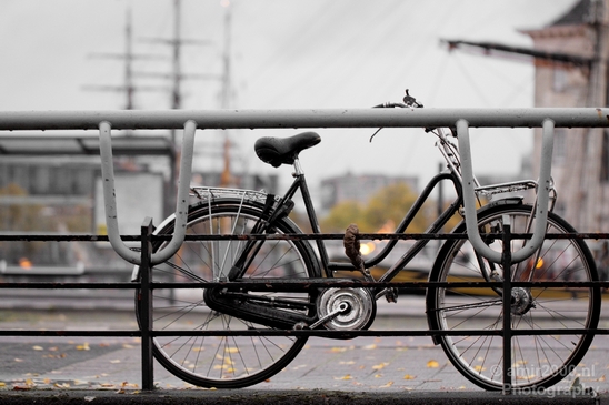Bicycle_city_of_bikes_Amsterdam_Netherlands_Miscellaneous_Photography_102_Canon_EOS_5D_Mark_IV.JPG