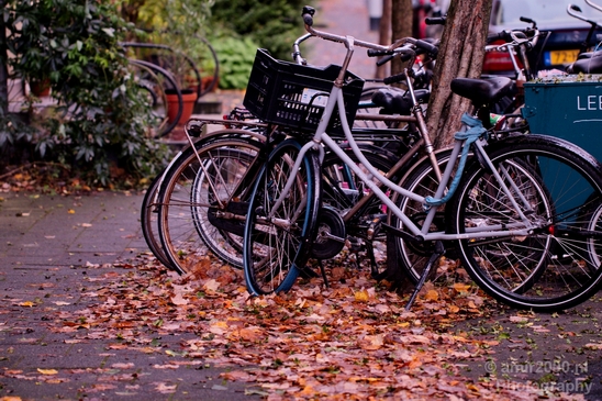 Bicycle_city_of_bikes_Amsterdam_Netherlands_Miscellaneous_Photography_104_Canon_EOS_5D_Mark_IV.JPG