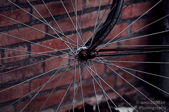 Bicycle_city_of_bikes_Amsterdam_Netherlands_Miscellaneous_Photography_108_Canon_EOS_5D_Mark_IV.JPG