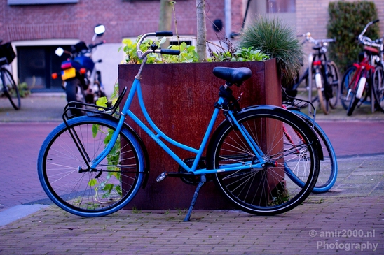 Bicycle_city_of_bikes_Amsterdam_Netherlands_Miscellaneous_Photography_109_Canon_EOS_5D_Mark_IV.JPG