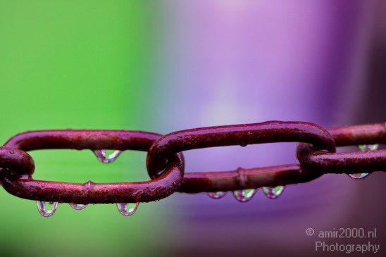 Chain_Raindrops_Amsterdam_under_Rain_Netherlands_Miscellaneous_Photography_001_Canon_EOS_5D_Mark_IV.JPG