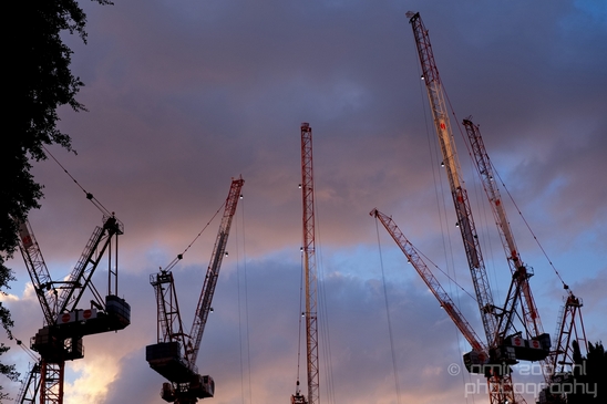 Cranes_Tel_Israel_new_construction_city_Miscellaneous_Photography_014_Canon_EOS_5D_Mark_IV.JPG