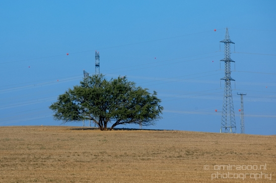 Electric_pole_high_tension_towers_Utility_Photography_Series_Miscellaneous_043_Canon_EOS_5D_Mark_IV.JPG