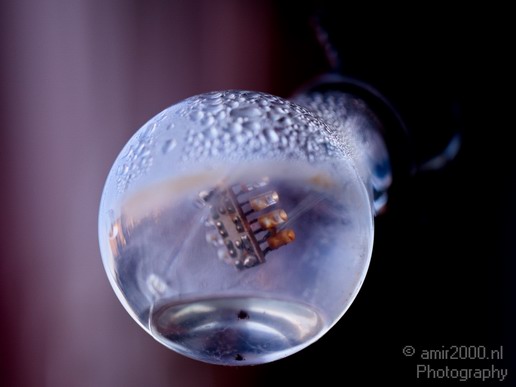 Inside_the_bulb_and_rain_macro_Photography_Miscellaneous_001_Canon_EOS_5D_Mark_IV.JPG