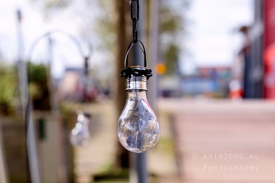 Inside_the_bulb_and_rain_macro_Photography_Miscellaneous_002_Canon_EOS_5D_Mark_IV.JPG