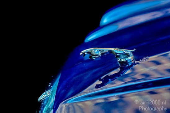 Jaguar_Motor_Vehicle_symbol_Miscellaneous_Photography_001_Canon_EOS_5D_Mark_IV.JPG