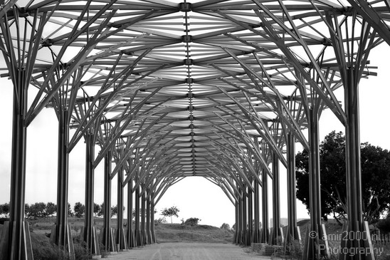Metal_construction_Ariel_Sharon_Park_Tel_Israel_Miscellaneous_Photography_002_Canon_EOS_5D_Mark_IV.JPG