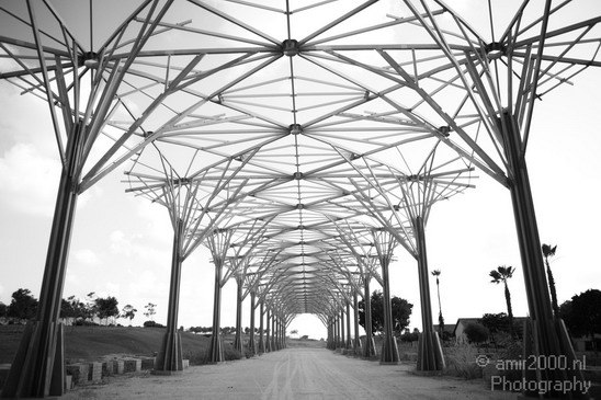 Metal_construction_Ariel_Sharon_Park_Tel_Israel_Miscellaneous_Photography_003_Canon_EOS_5D_Mark_IV.JPG