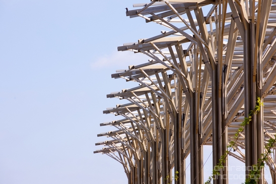 Metal_construction_Ariel_Sharon_Park_Tel_Israel_Miscellaneous_Photography_010_Canon_EOS_5D_Mark_IV.JPG