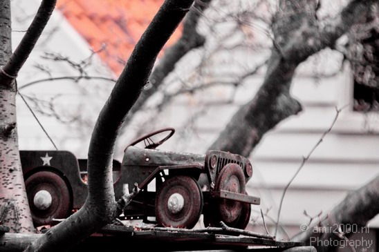 Old_jeep_toy_on_tree_Amsterdam_Netherlands_Miscellaneous_Photography_001_Canon_EOS_5D_Mark_IV.JPG