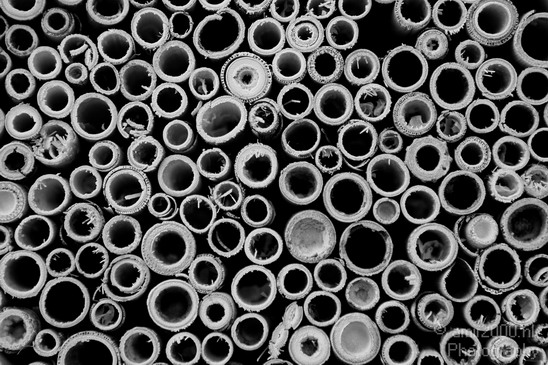 Round_Patterns_black_and_white_Miscellaneous_Photography_001_Canon_EOS_5D_Mark_IV.JPG