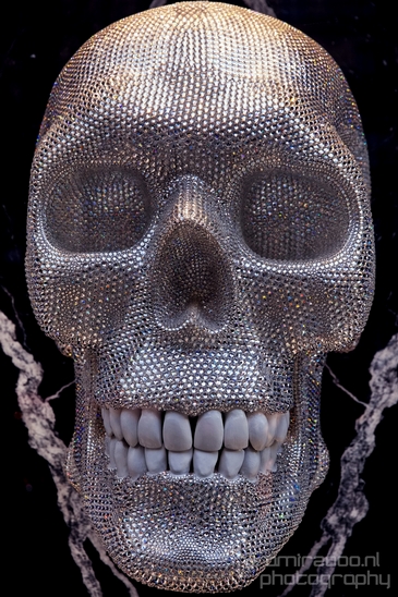 Skull_street_art_Paris_France_Miscellaneous_Photography_001_Canon_EOS_5D_Mark_IV.JPG