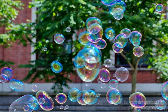 Soap_bubbles_water_hollow_sphere_General_Photography_Collection_Miscellaneous_003_Canon_EOS_5D_Mark_IV.JPG