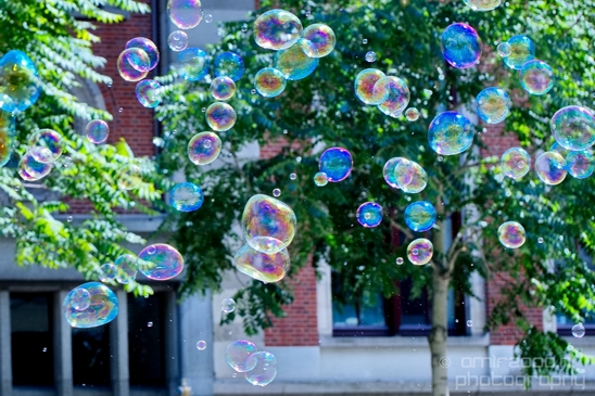 Soap_bubbles_water_hollow_sphere_General_Photography_Collection_Miscellaneous_013_Canon_EOS_5D_Mark_IV.JPG