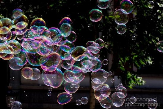 Soap_bubbles_water_hollow_sphere_General_Photography_Collection_Miscellaneous_015_Canon_EOS_5D_Mark_IV.JPG
