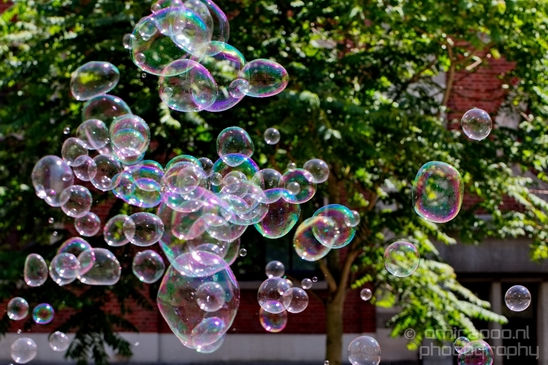 Soap_bubbles_water_hollow_sphere_General_Photography_Collection_Miscellaneous_018_Canon_EOS_5D_Mark_IV.JPG