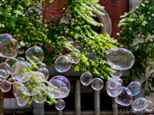 Soap_bubbles_water_hollow_sphere_General_Photography_Collection_Miscellaneous_019_Canon_EOS_5D_Mark_IV.JPG