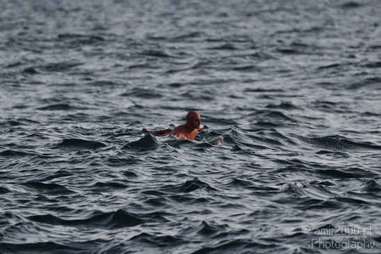 Surfer_Miscellaneous_Photography_001_Canon_EOS_7D.JPG